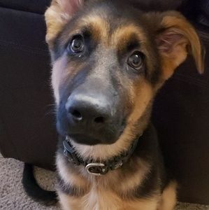 Meet your Posher, Eleanor